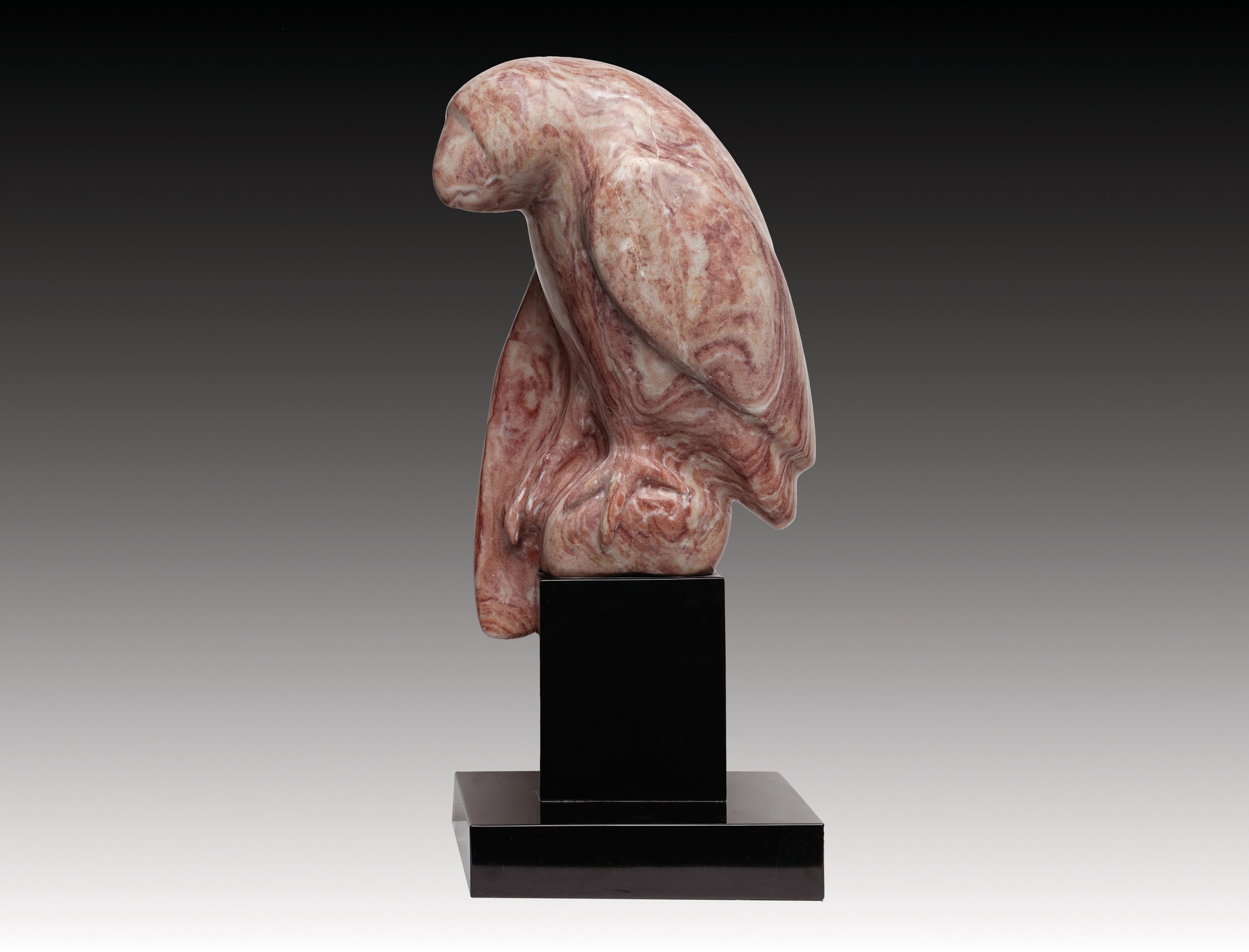 Parrot 22x6x9 Alabaster.jpg