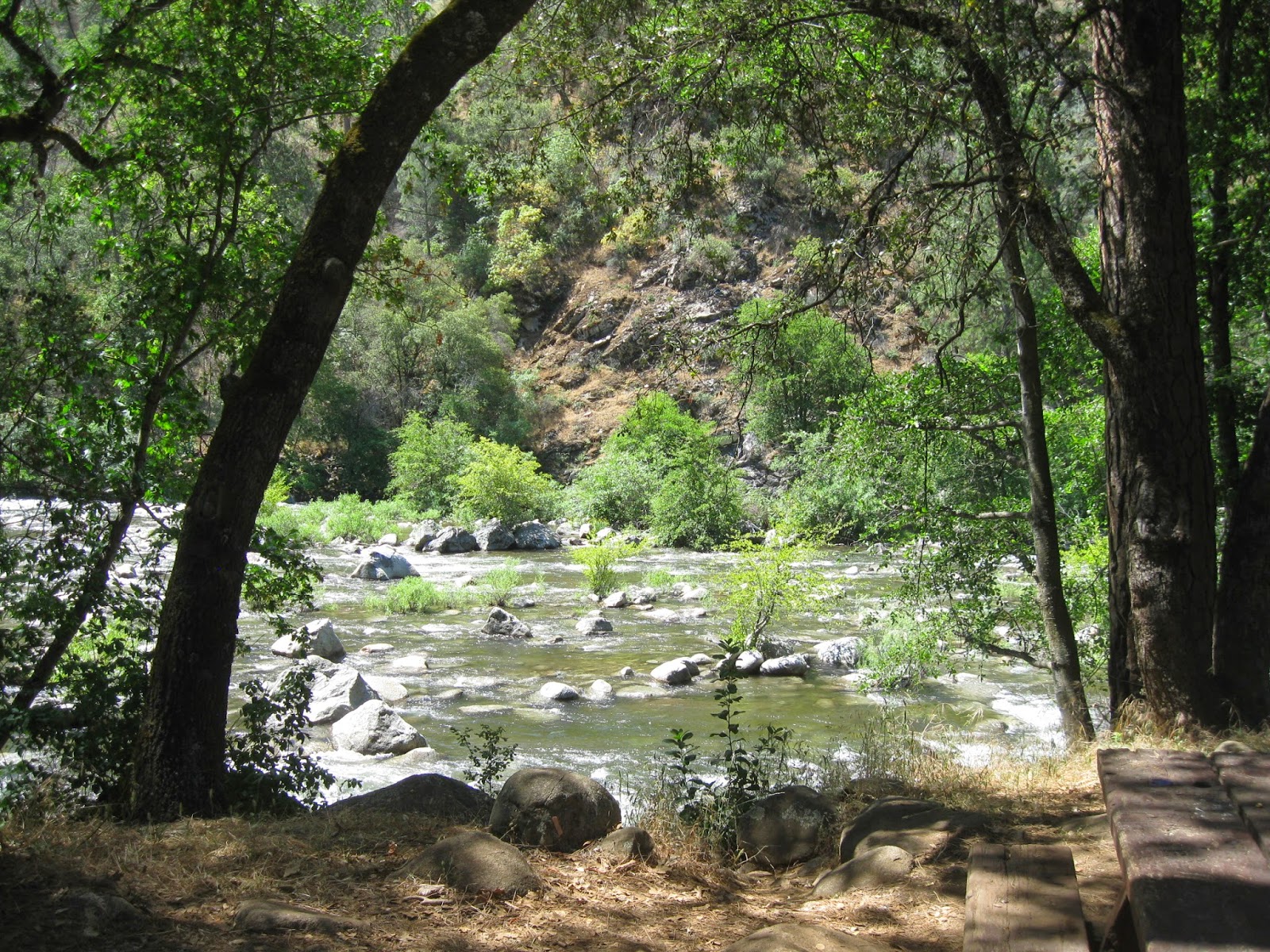 Lumsden Bridge Campground