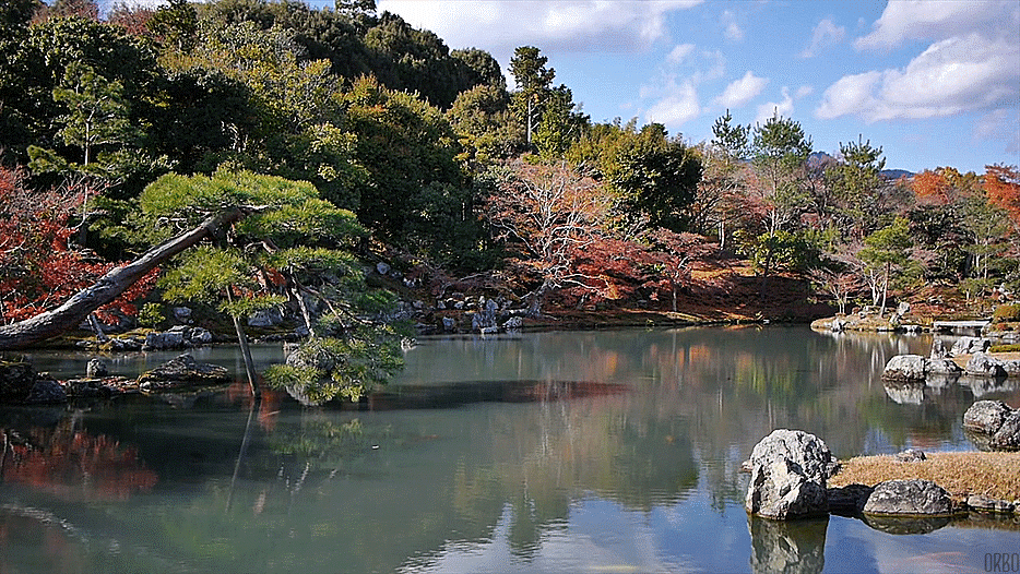 California's Best Botanical Gardens - Our Favorites List.