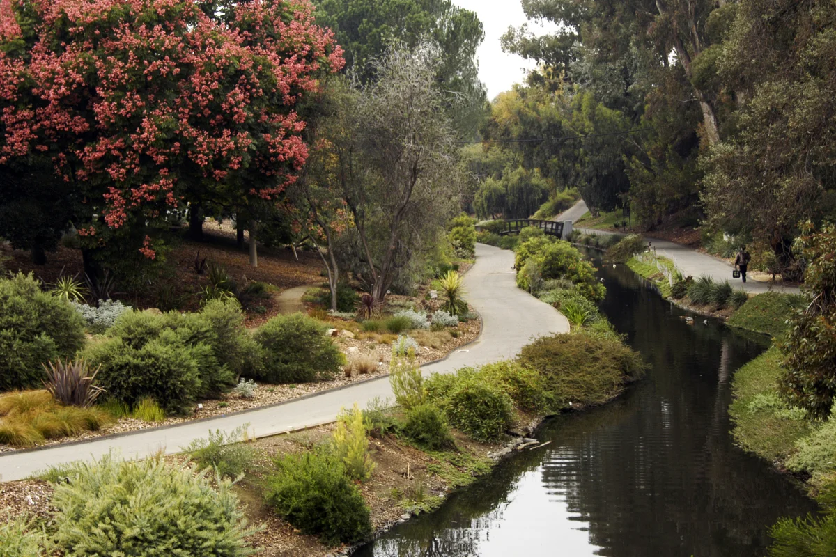 Photo credit UC Davis Arboretum