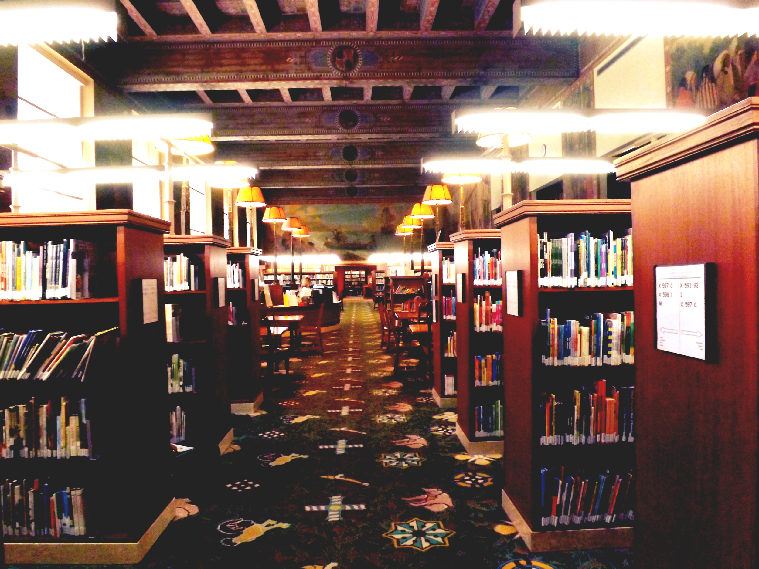 One of the many shelving areas where miles of aisles are worthy of getting lost within. Stem