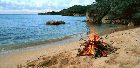 The Californist Does it on the Beach