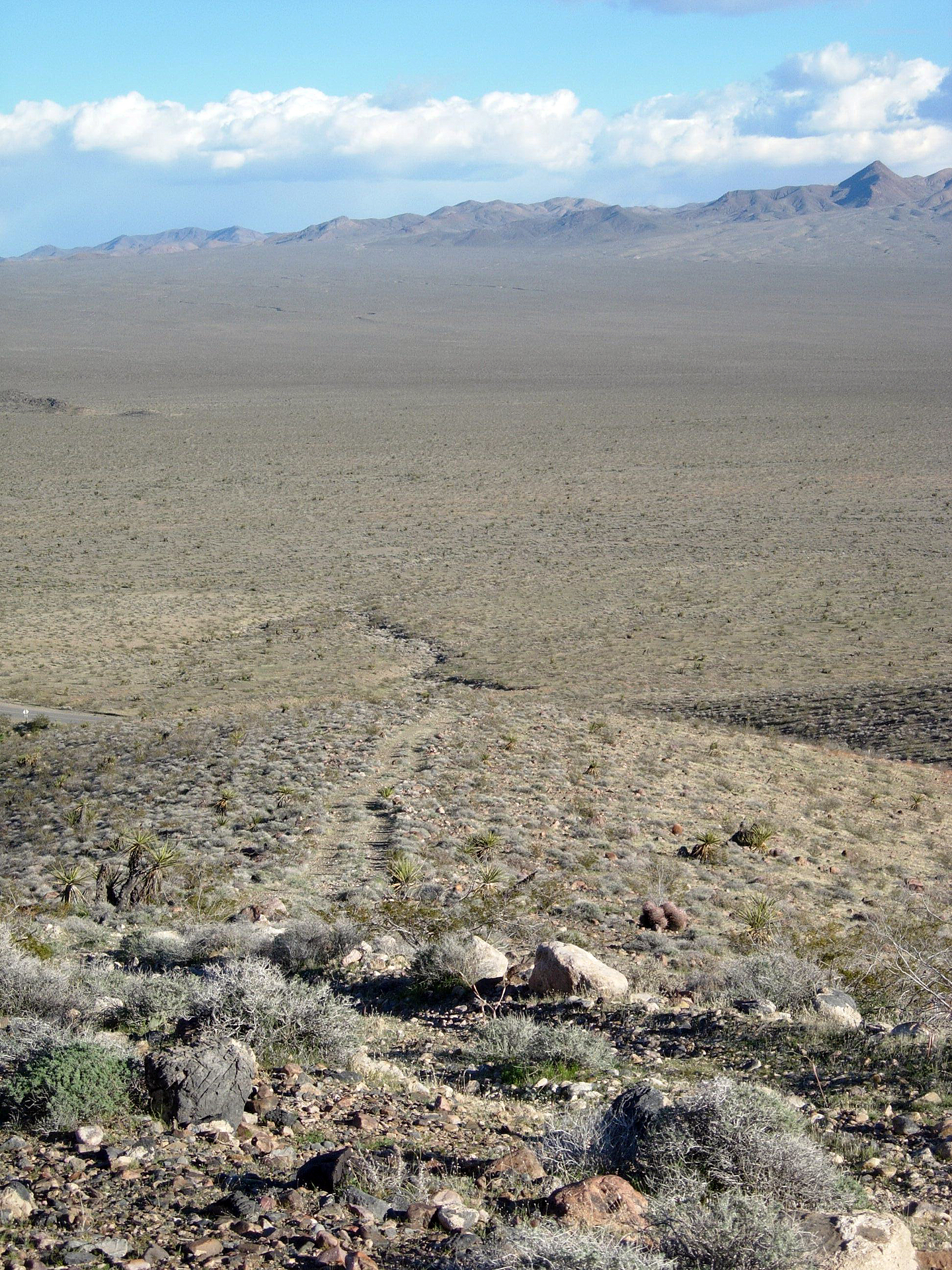 Emigrant Pass. It's a hundred degrees and you have to walk across this. Source: National Park Service.