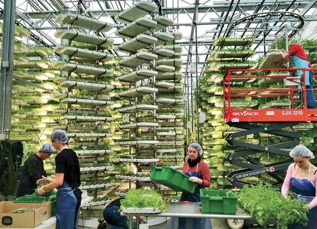 Vertical farming deployed ( source ).