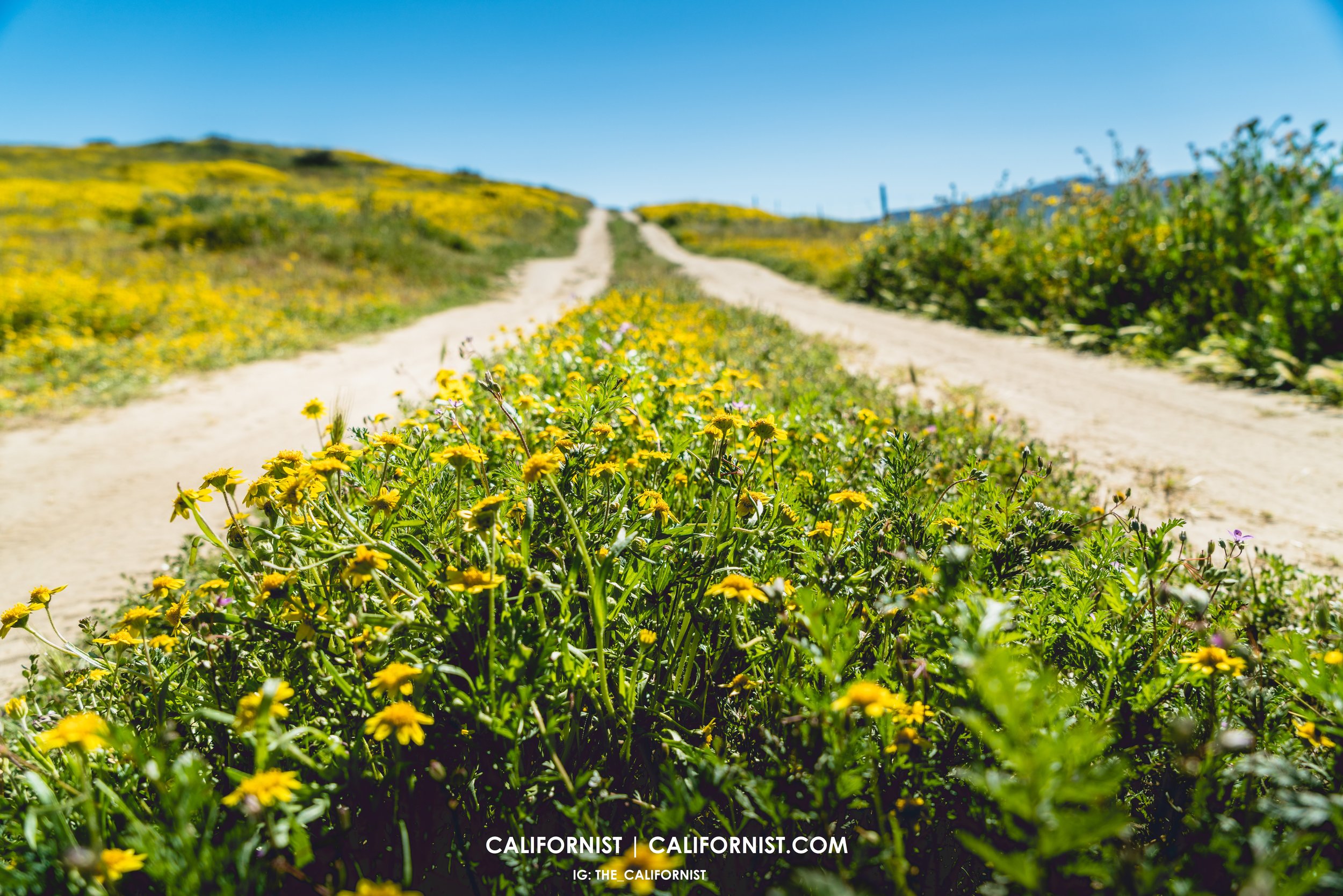 Into the Hills.