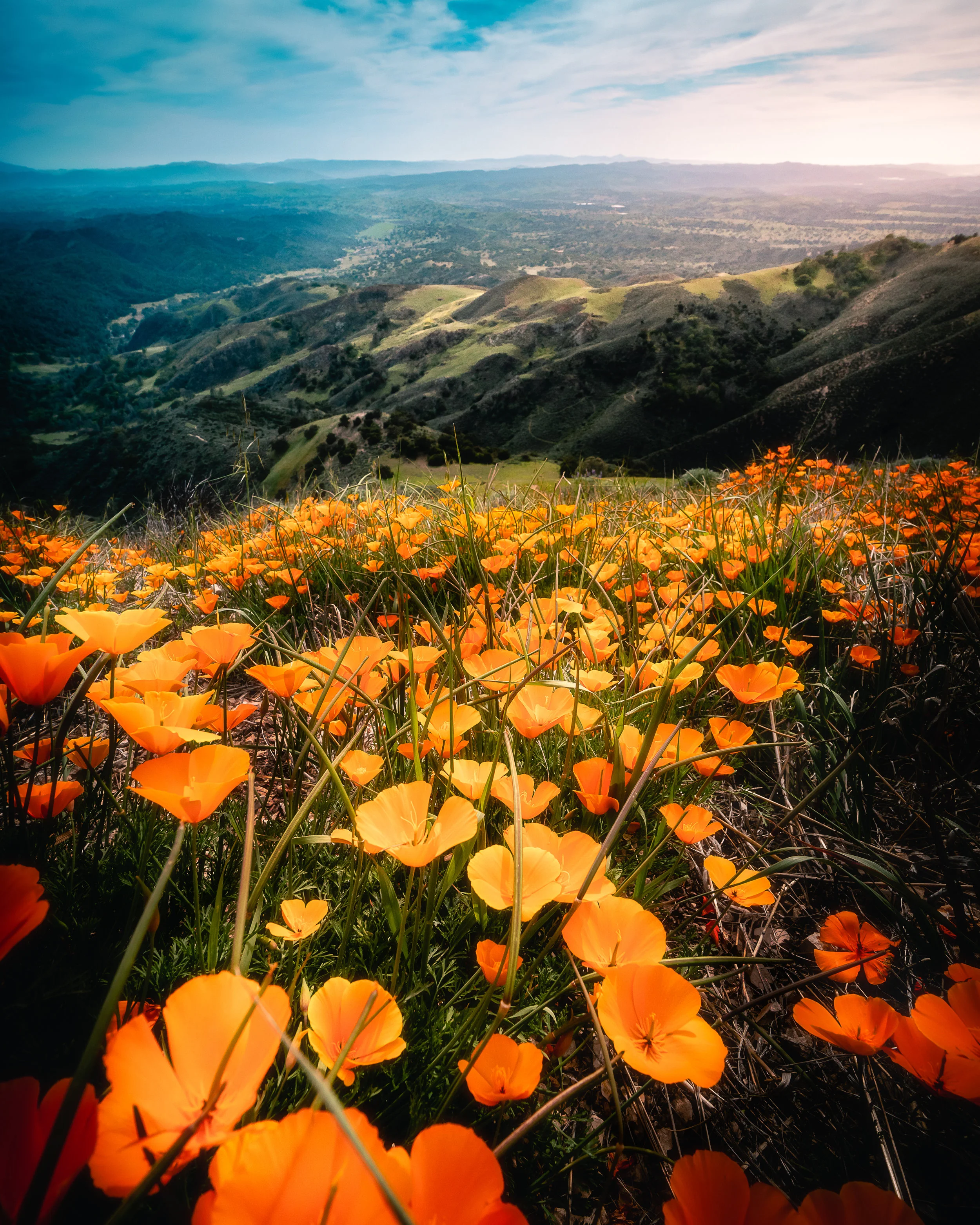 Santa Ynez, CA