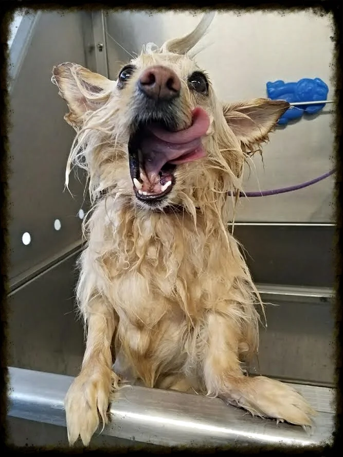bath.jpg