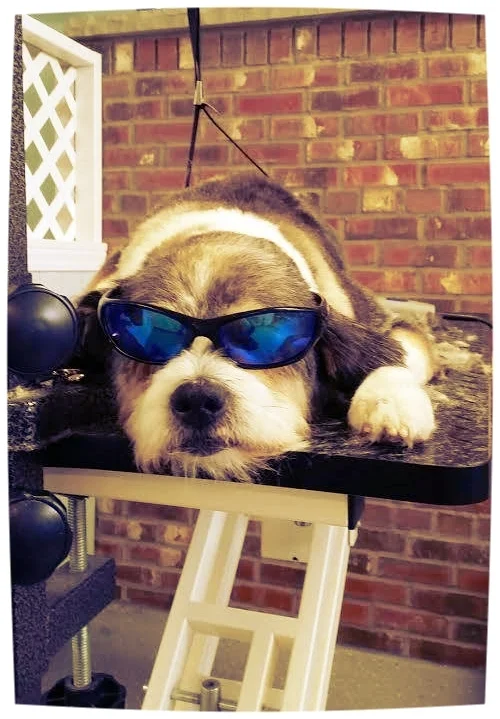 chill.jpg