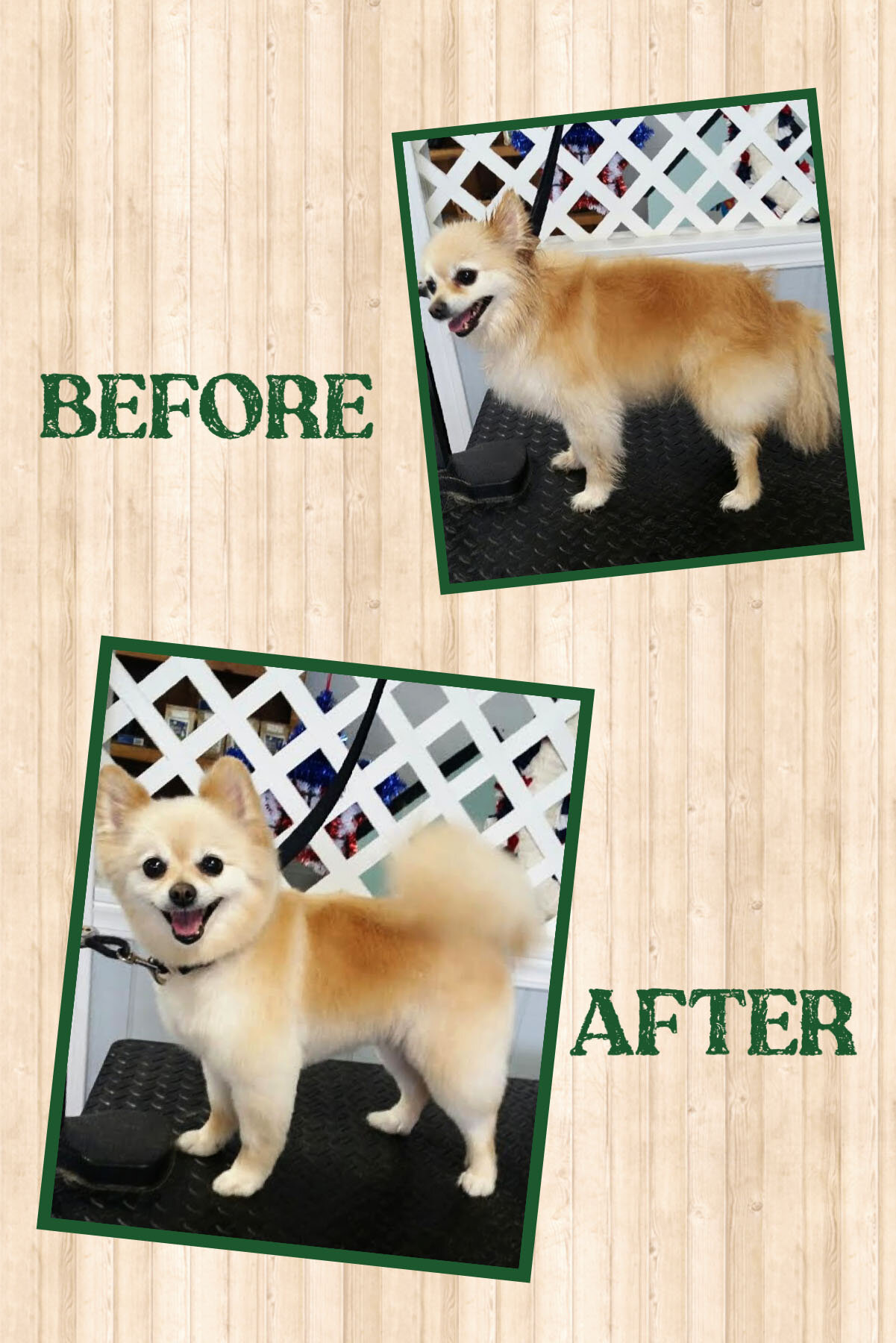 Zoey's before and after photos