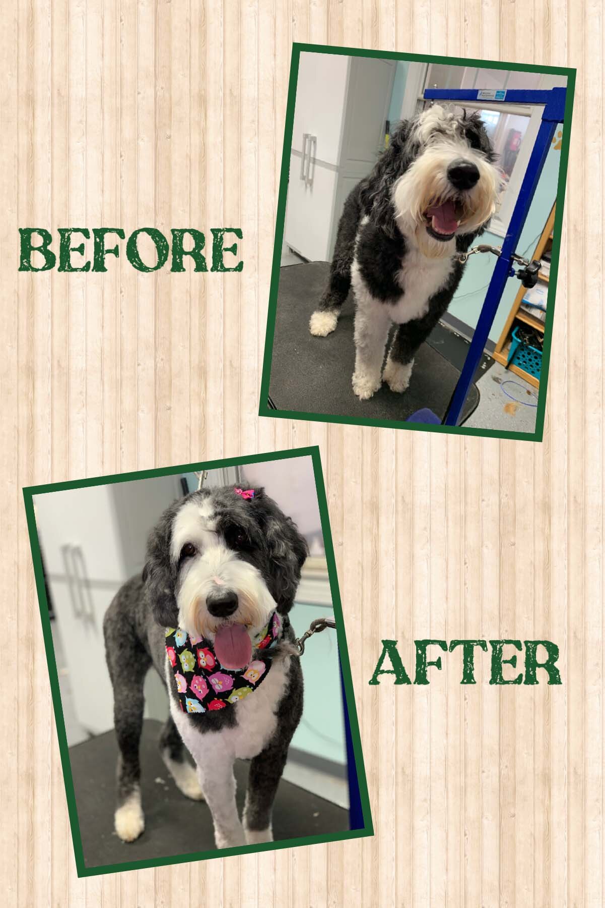 Bougie's before and after photos