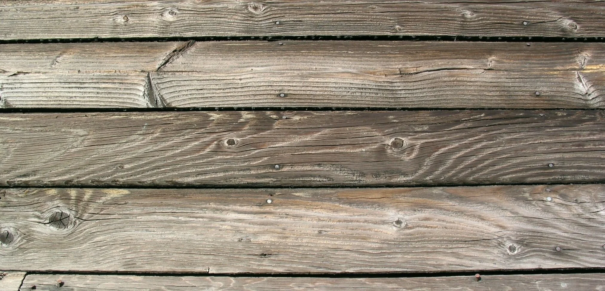 EA Pet Boutique Rustic Banner.jpg