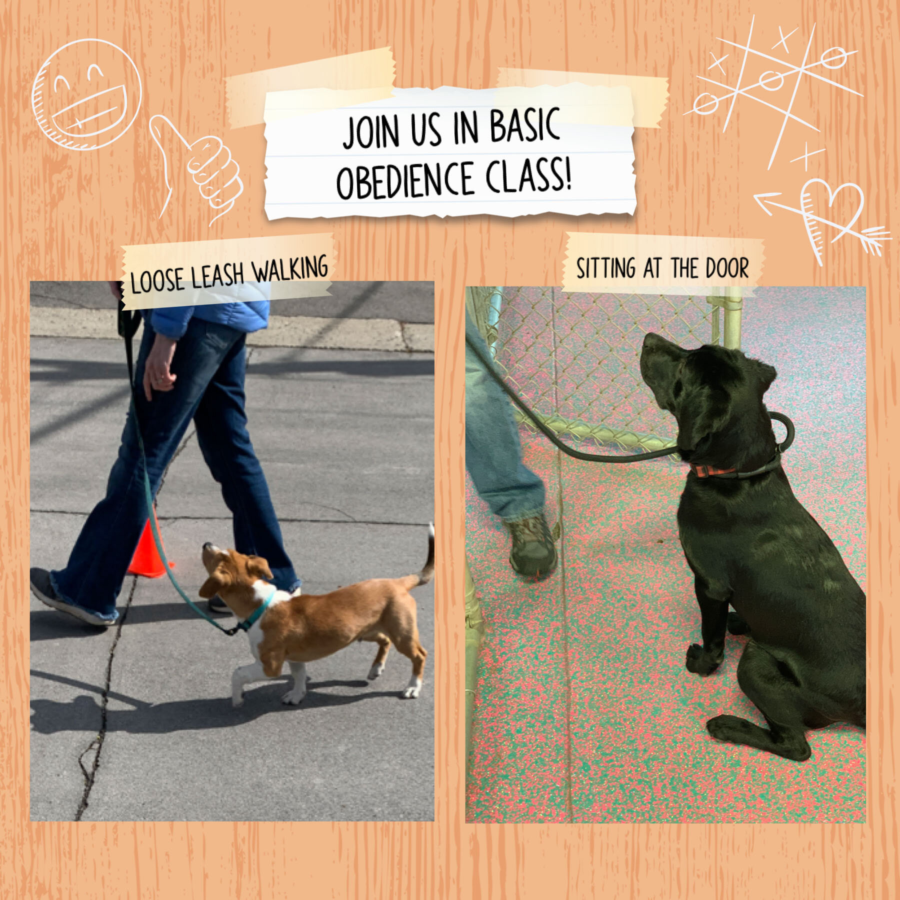 Join us in obedience class!