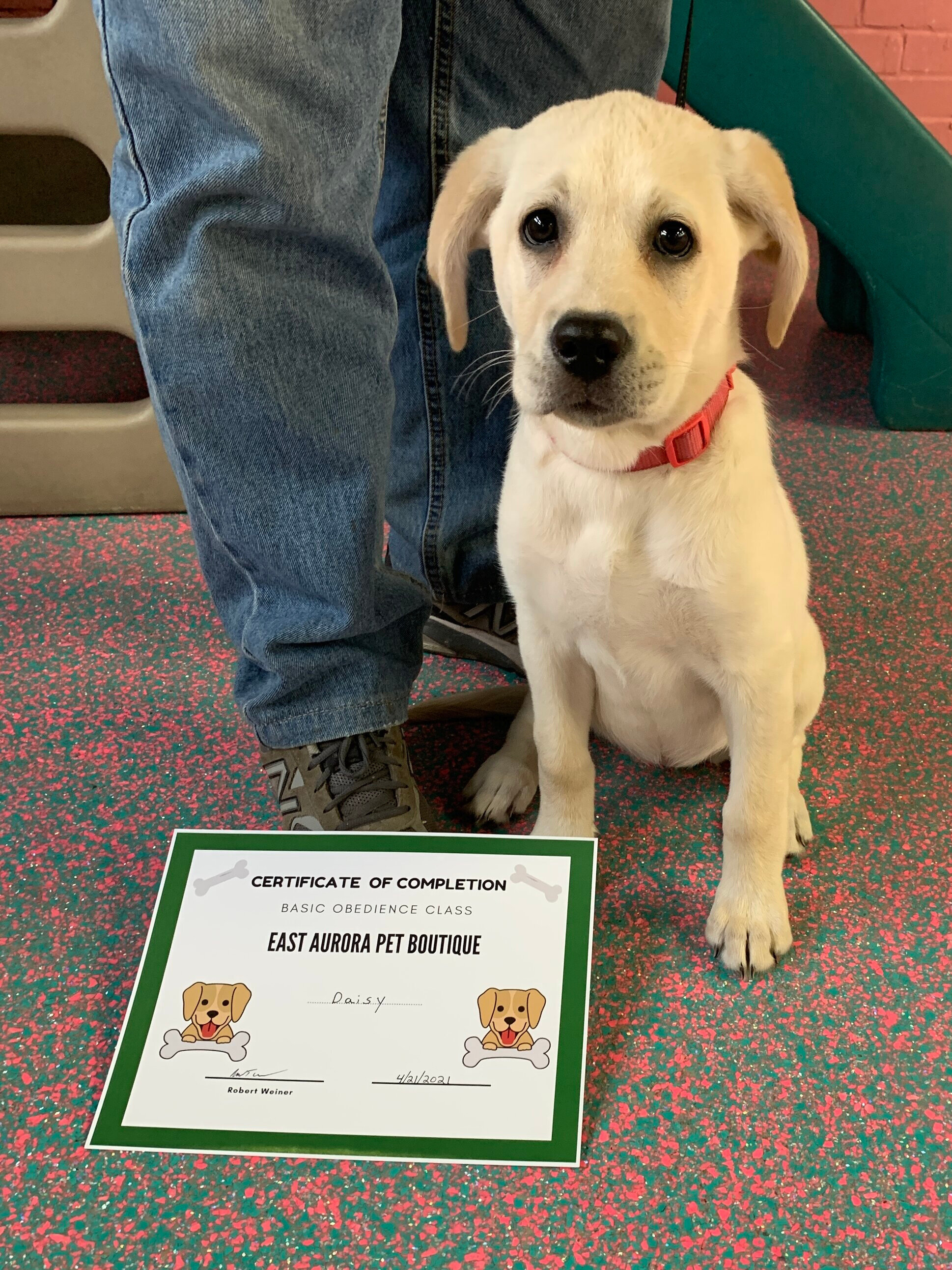 Daisy graduates from training class