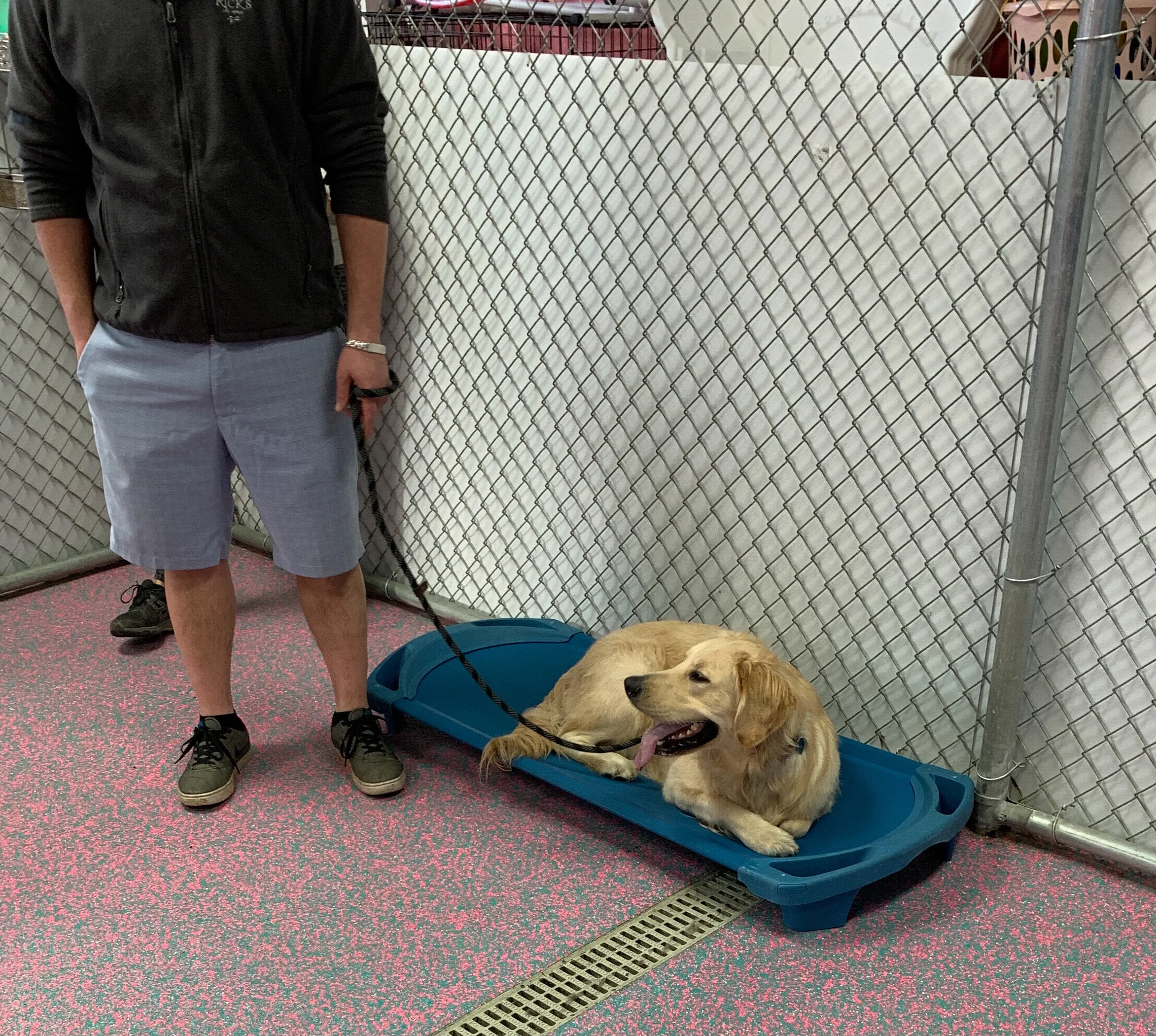 reggie training.JPEG