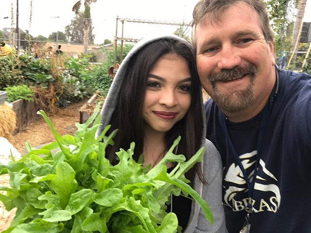 #abraxasgarden #harvesting