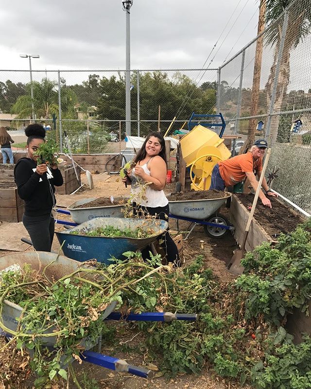 #abraxasgarden