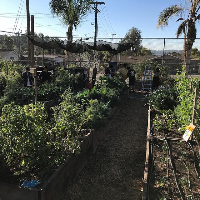 #abraxasgarden