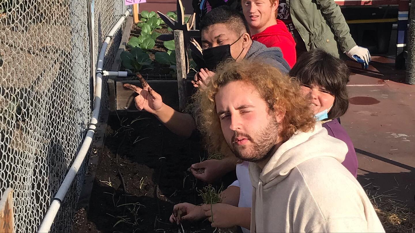 We planted short day onions today. They will be ready for the culinary program in 100 days! The barn cats couldn&rsquo;t wait that long, Tawny, Rocky and Frankie all showed up for an early dinner.