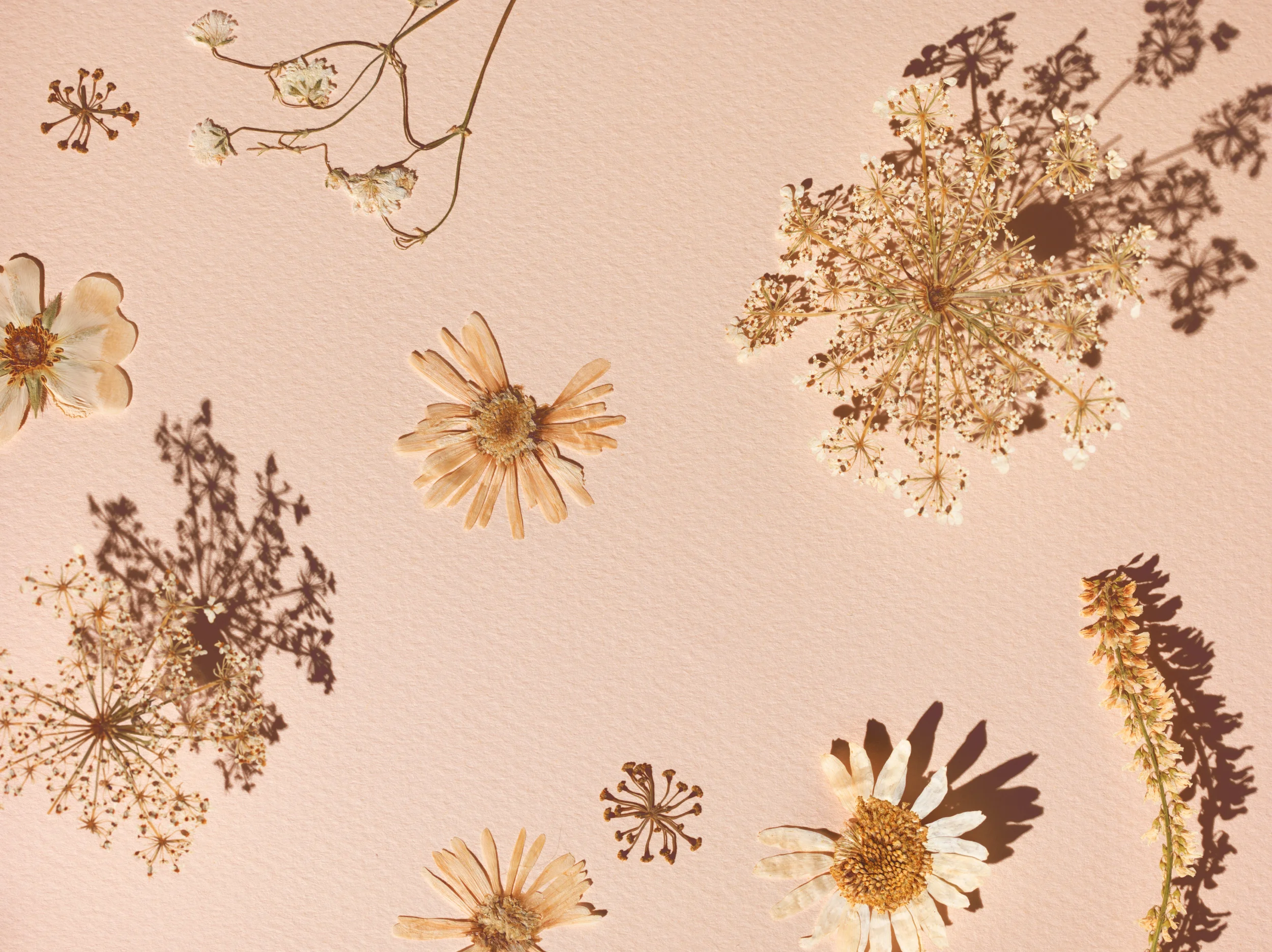 CreativeNov2015_DriedFlowers_0028.jpg