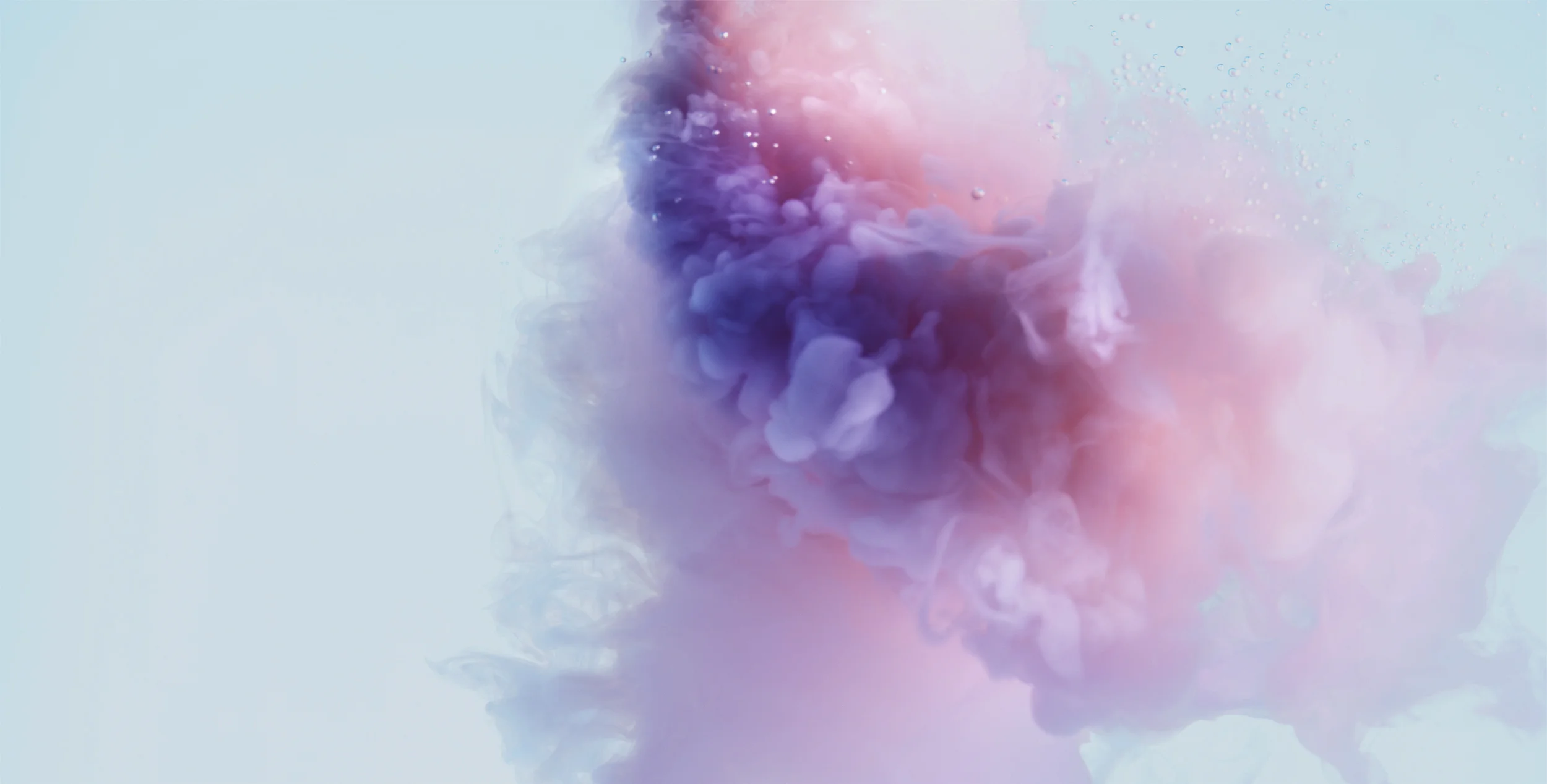 Milk_Magenta_0420.jpg
