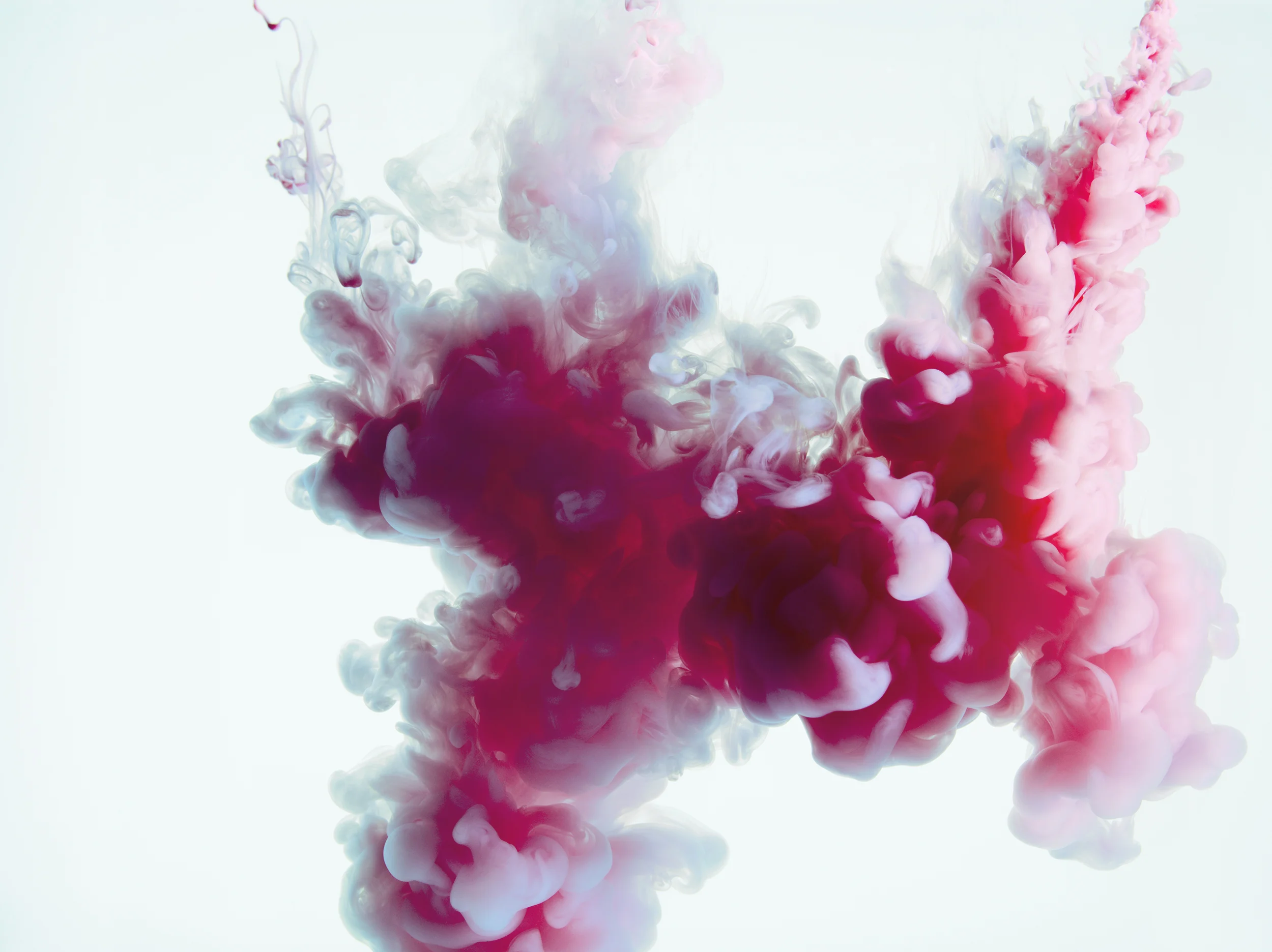Milk_Magenta_Triple_Milk_MagentaYellow_InkCreative_0381.jpg
