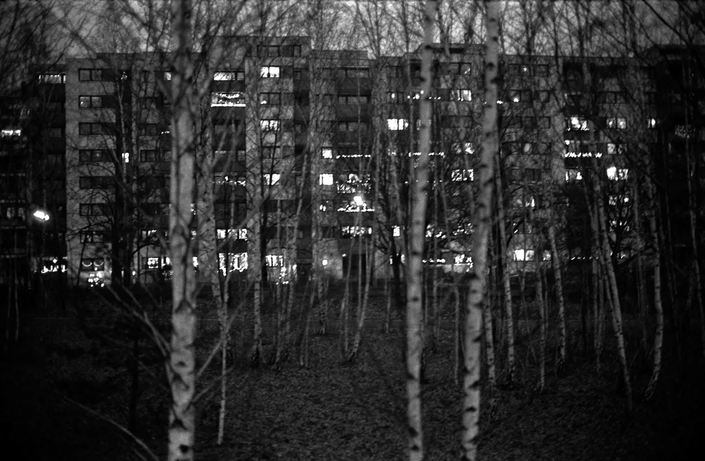 DG_07.jpg