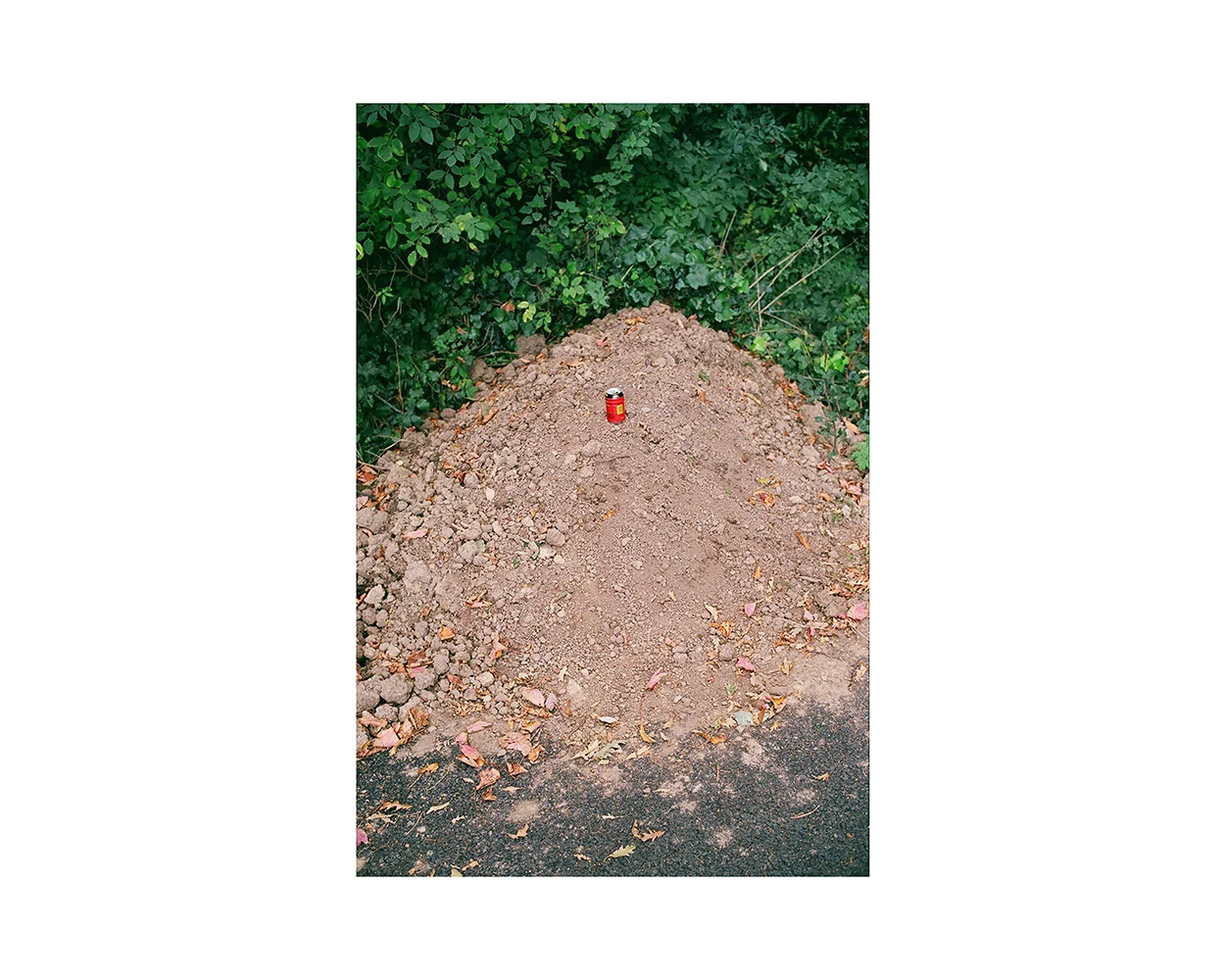 09 copy.jpg