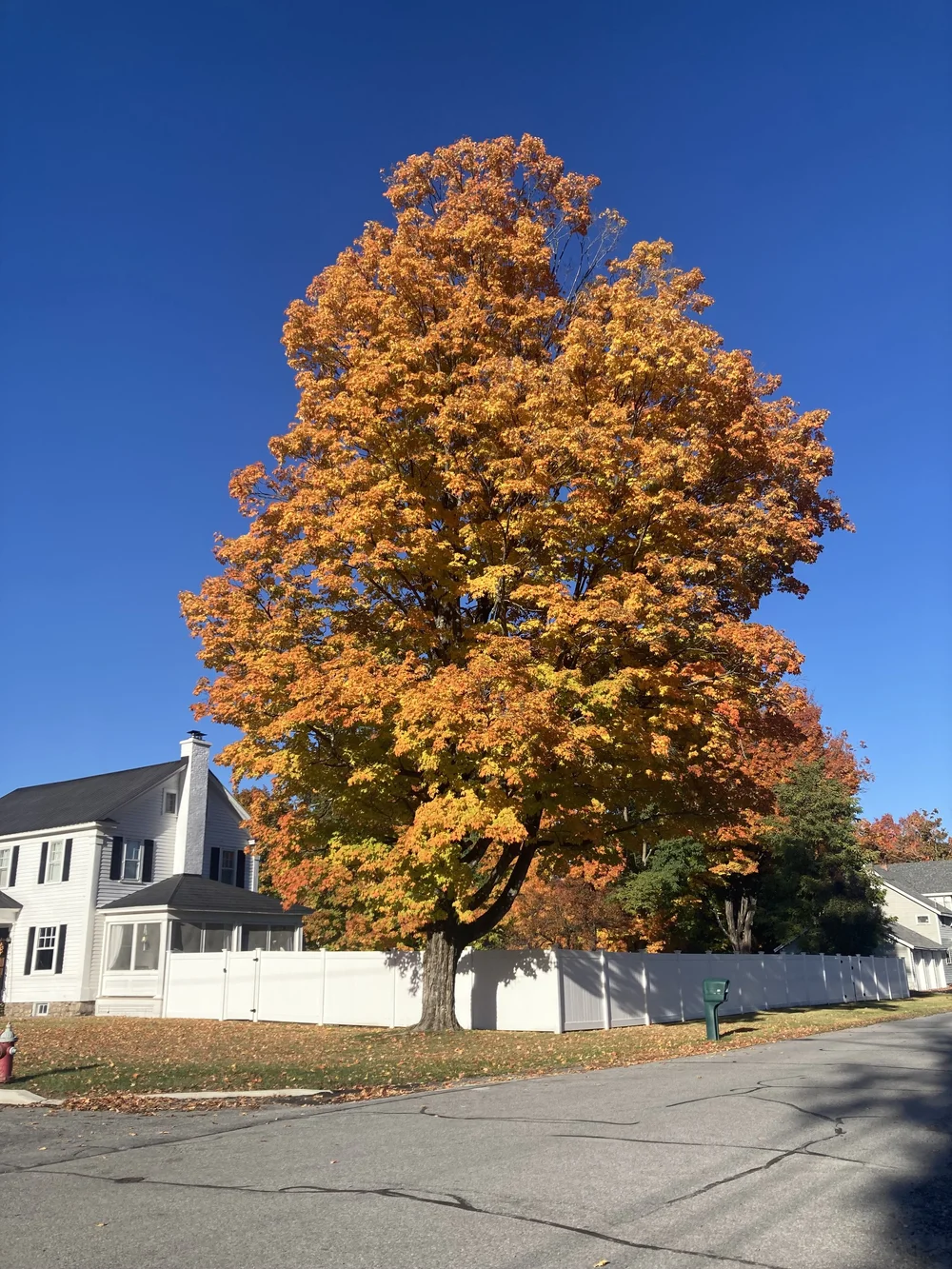 ニューヨーク州の秋