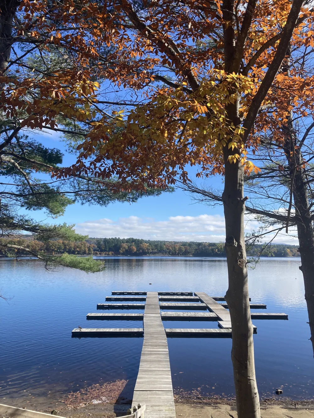 Autumn in New York State 