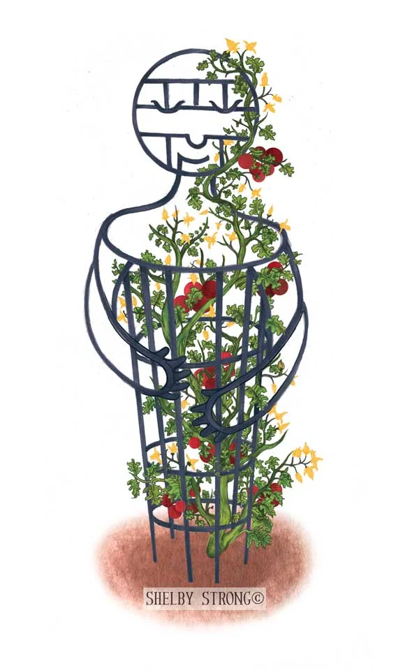 Tomato Guardian