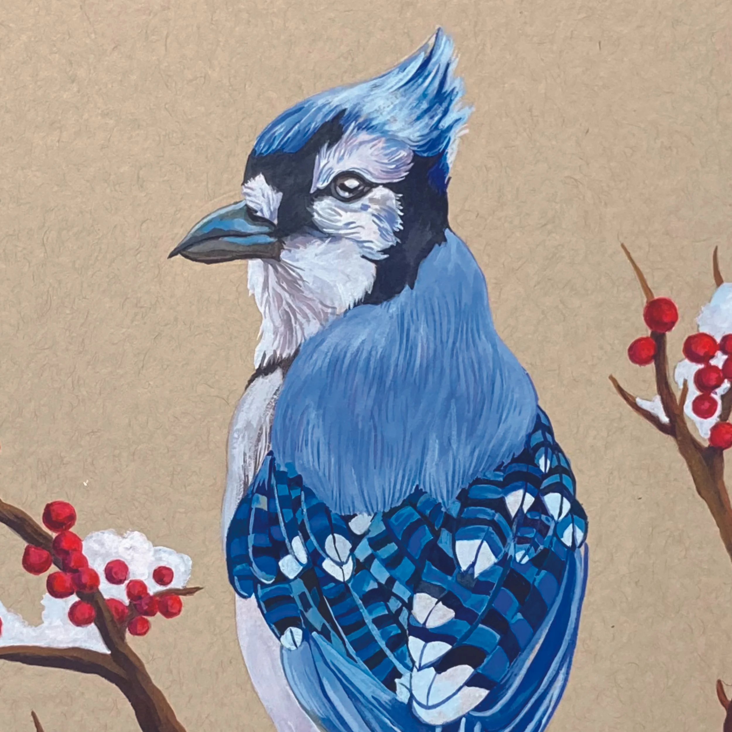 Bluejay Homepage Website.jpg