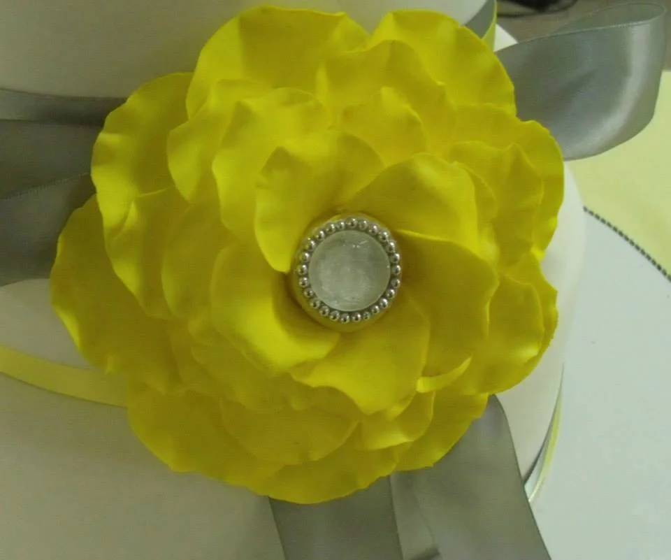 yellow rose.jpg