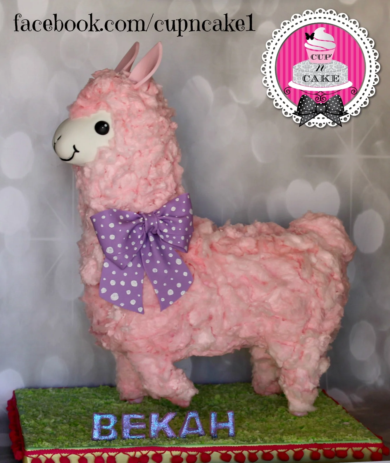 alpaca cake.jpg