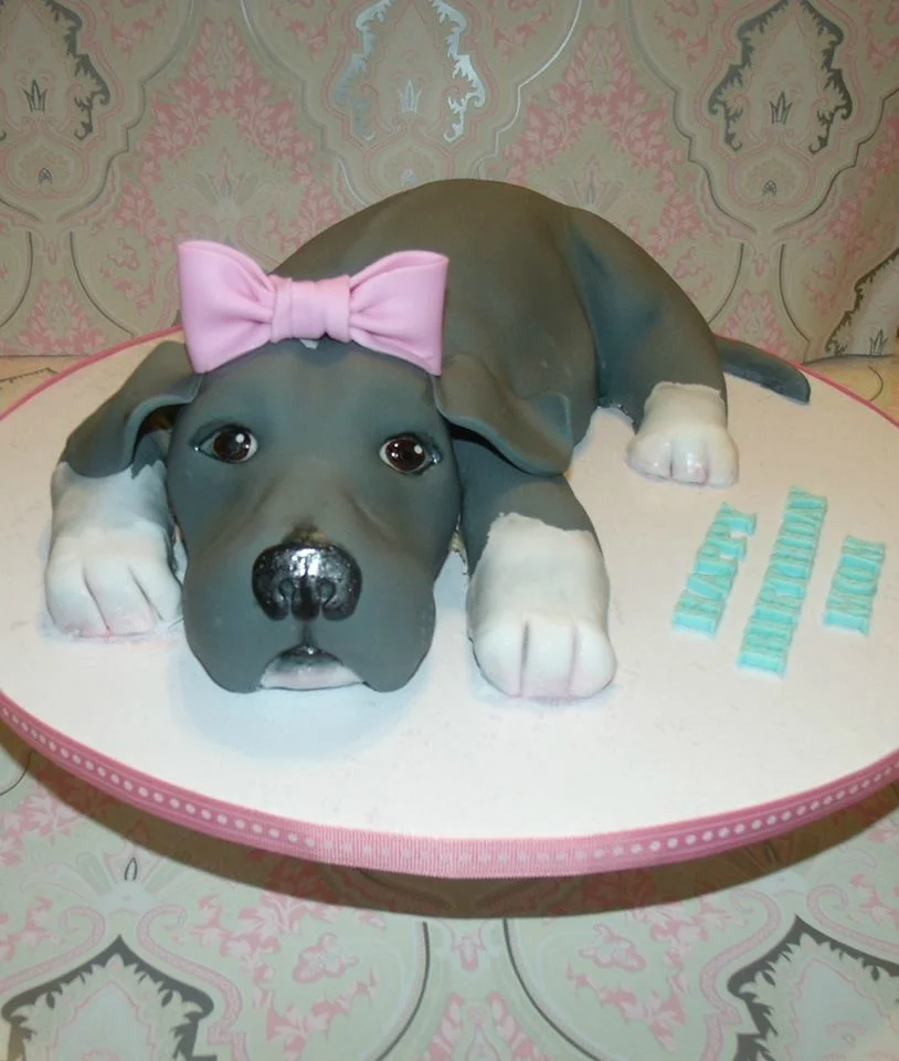 pitbull puppy cake.jpg