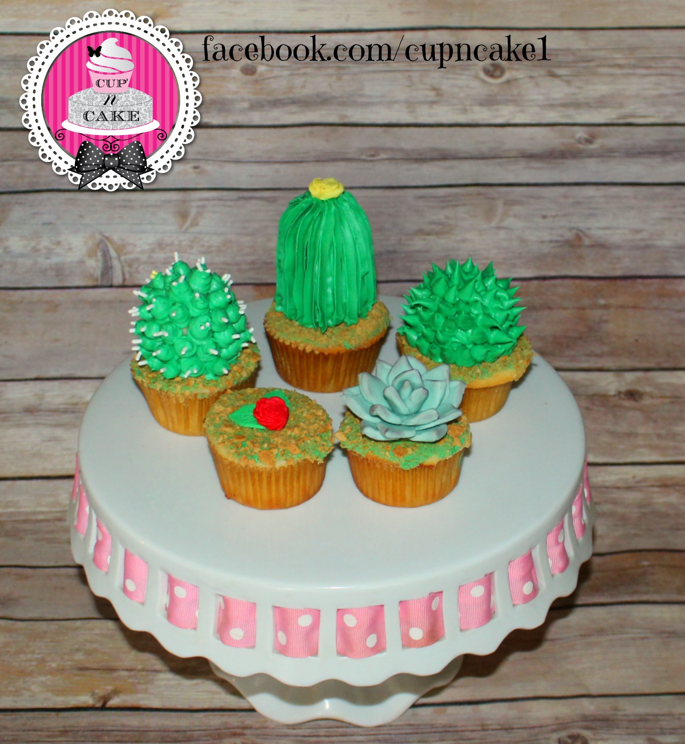cactus cupcakes cupncake danielle lechuga.jpg