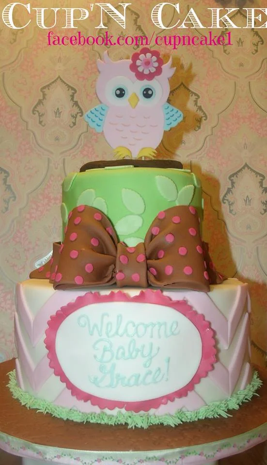 owl baby shower cake.jpg