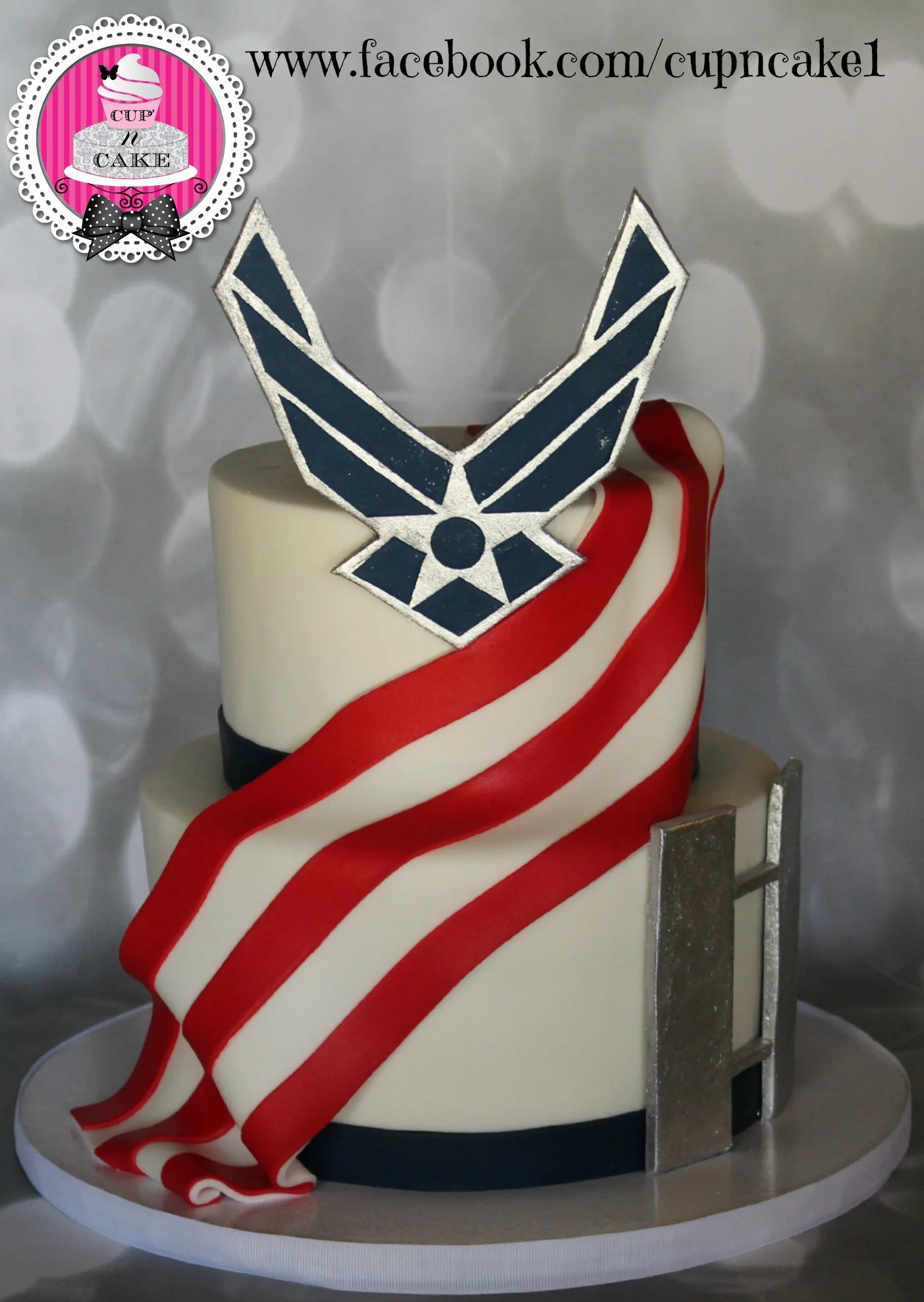 Airforce cake - Copy.jpg
