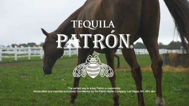 Patron the Summer - Newport Polo