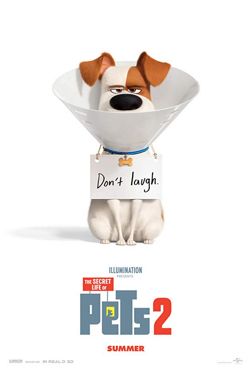 pet2.jpeg