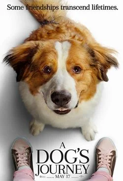 dogsjourney.jpeg