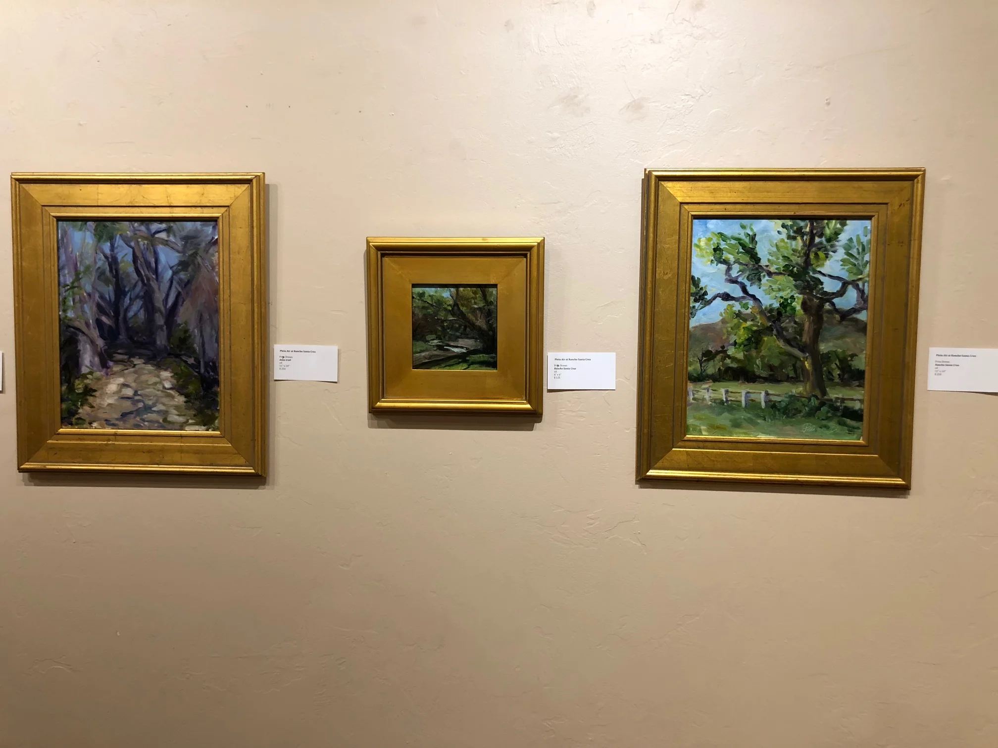 Oils by Priya Drew