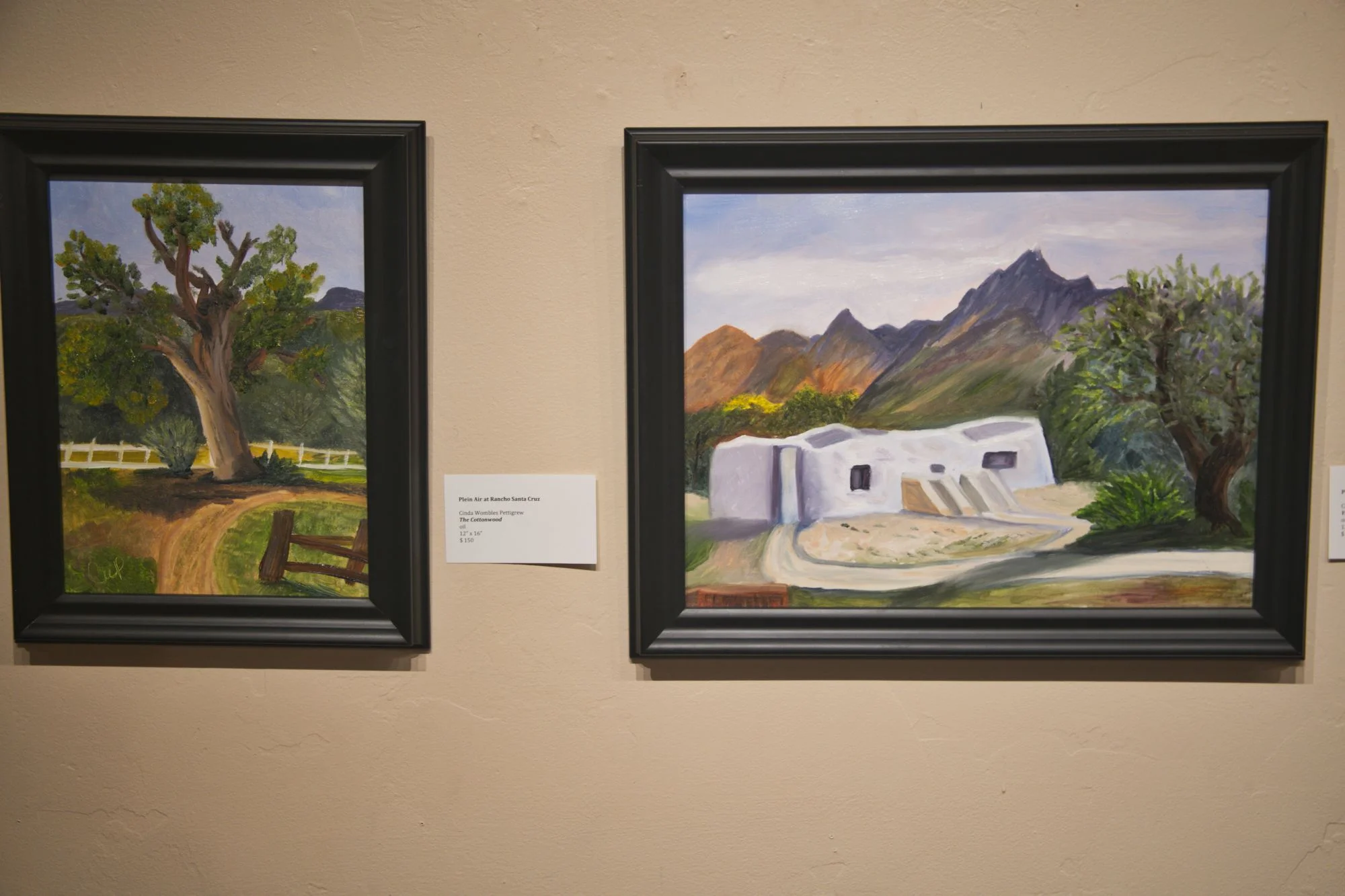 Oils by Cinda Pettigrew