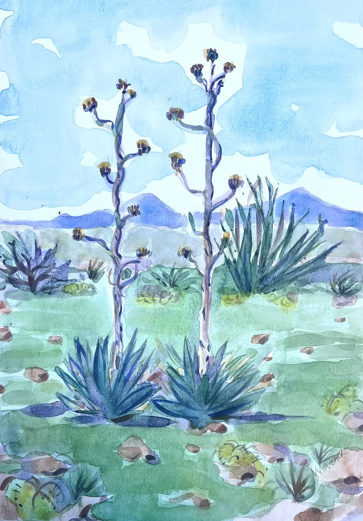  Twin Agaves, Zimmerman Gallery 