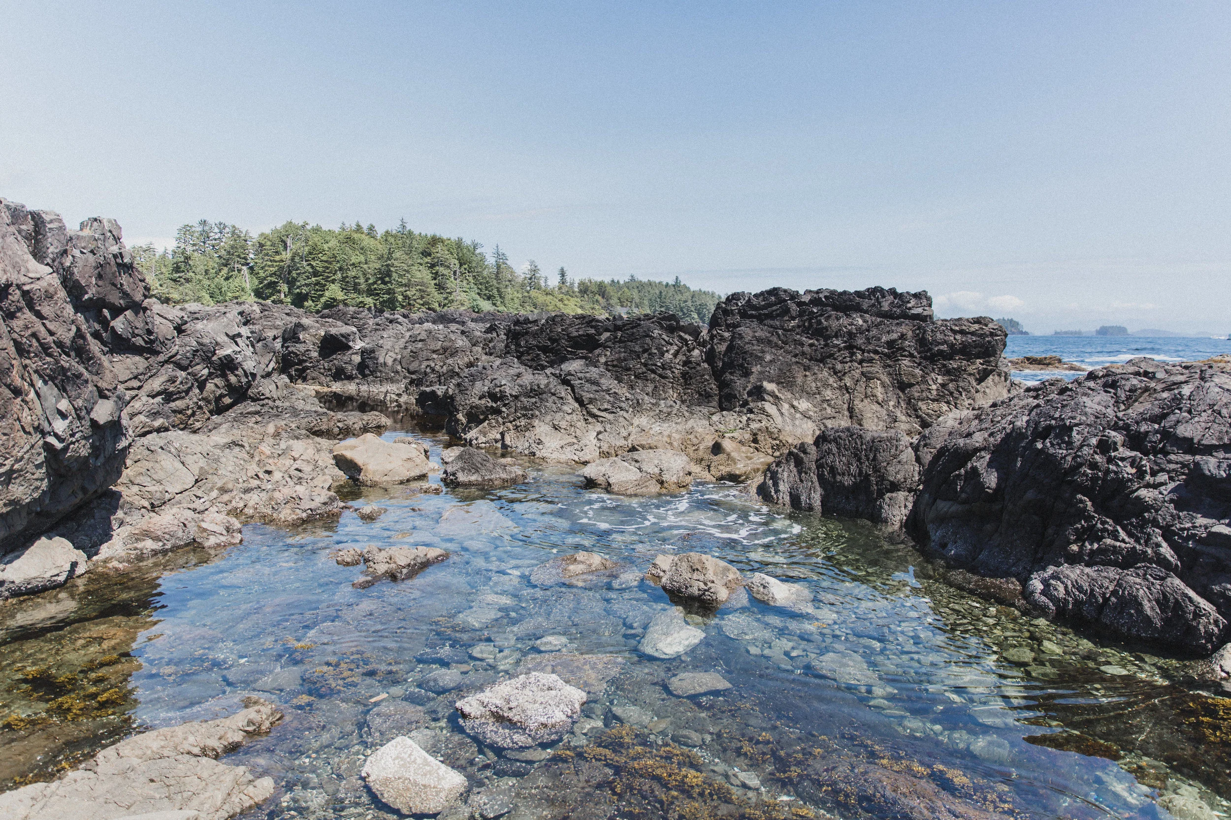 We spent hours exploring tide pools for wildlife - and were never disappointed.