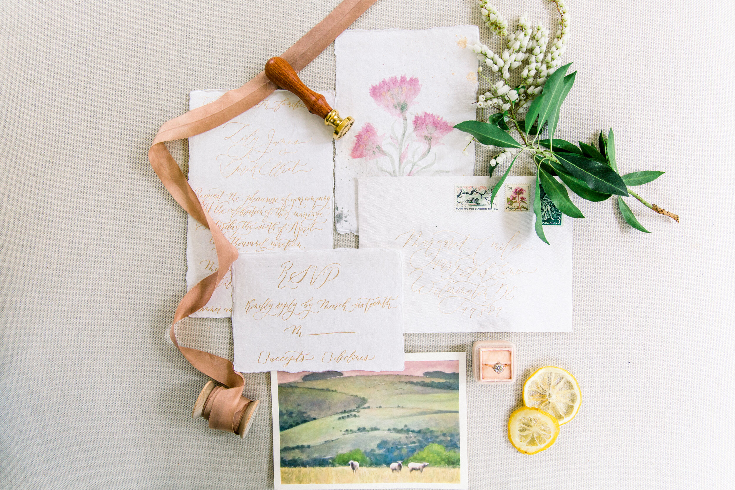 AbigailJillFilmandPhotography_EnglishGarden_StyledShoot_17.jpeg