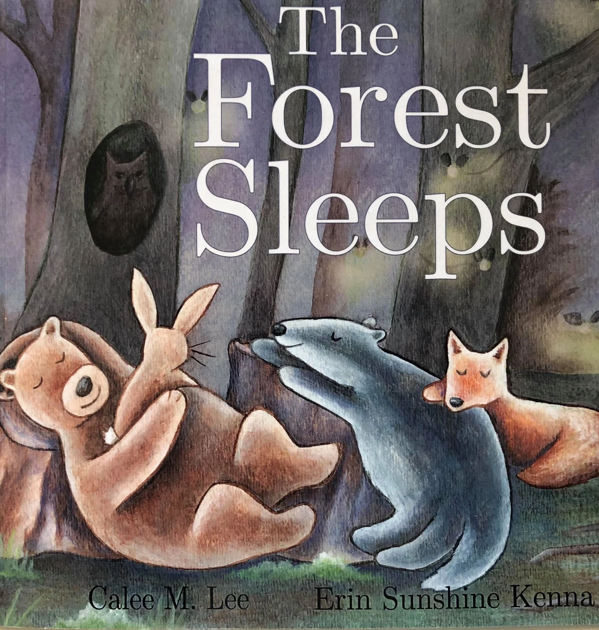 The Forest Sleeps
