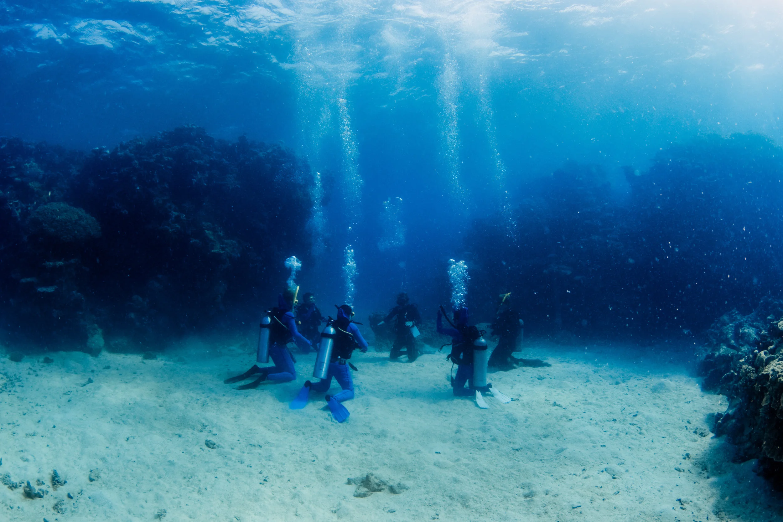 22.12.17 Reefy-58.jpg