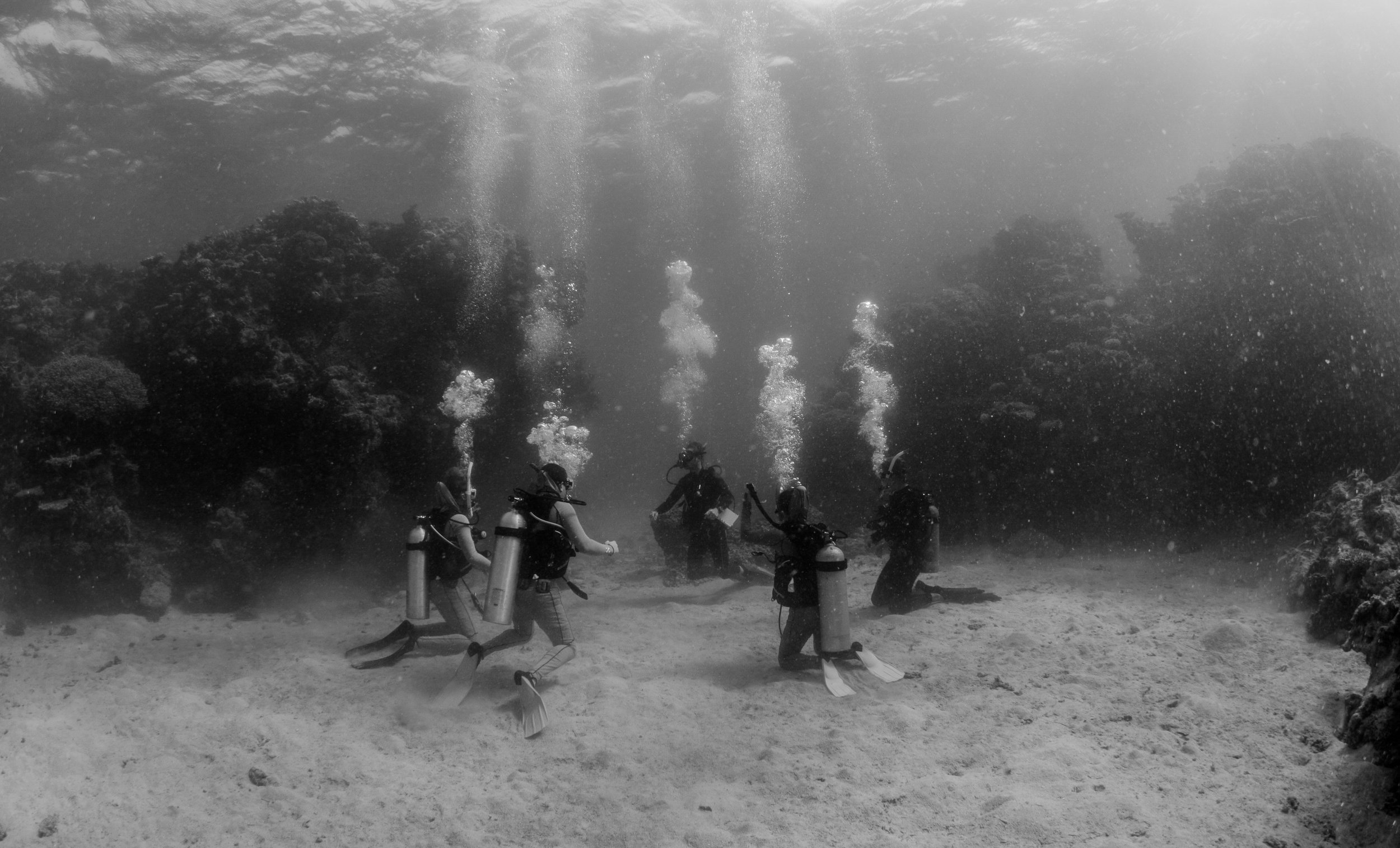 22.12.17 Reefy-59.jpg