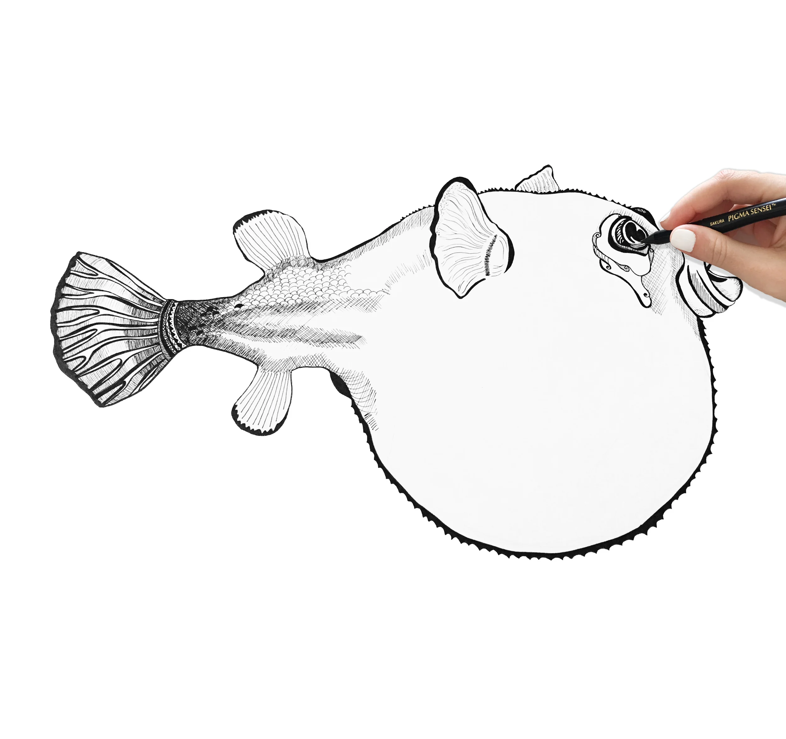 blowfish-process.jpg