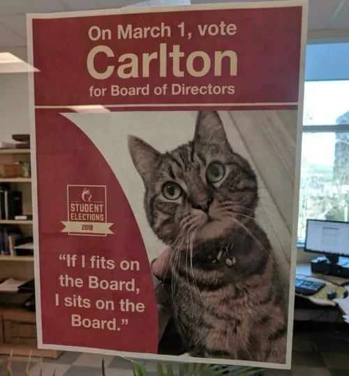 Carlton the cat wants your votes for university board of directors